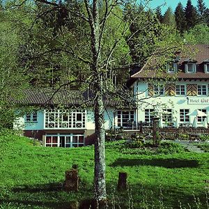 Gut Lauterbad Hotel